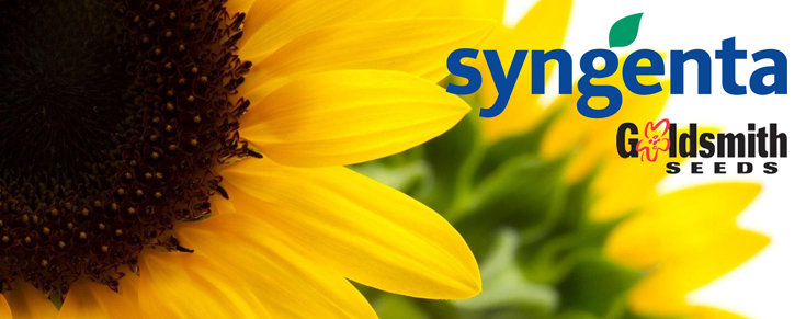 syngenta_goldsmith.jpg syngenta_goldsmith.jpg