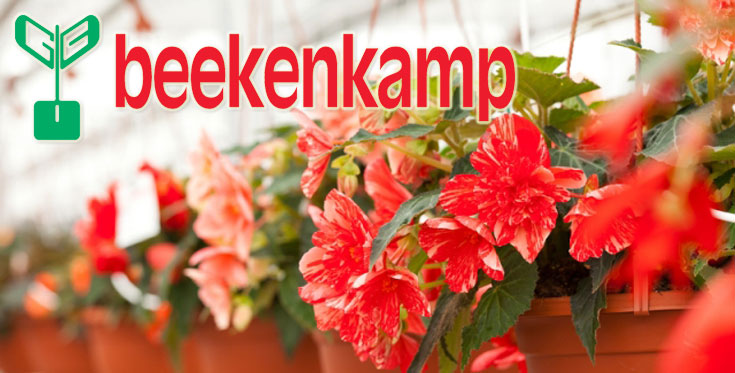 beekenkamp.jpg beekenkamp.jpg