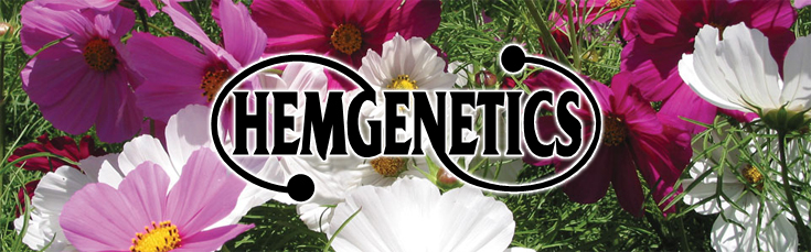 hemgenetics.jpg hemgenetics.jpg