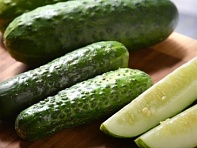 Огурец посевной (Gherking) Огурец посевной (Gherking)