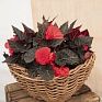 Бегония клубневая махровая (Begonia tuberhybrida)