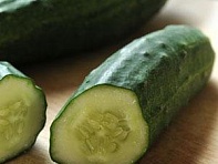 Огурец посевной (Patio Snacker) Огурец посевной (Patio Snacker)