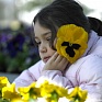 Виола Виттрока (Viola wittrockiana)