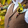 Виола виттрока (Viola wittrockiana) Виола виттрока (Viola wittrockiana)
