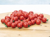 Томат (Biliardino F1)