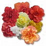 Бегония клубневая махровая ампельная (Begonia tuberhybrida) Бегония клубневая махровая ампельная (Begonia tuberhybrida)