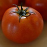 Томат (Lycopersicon esculentum)