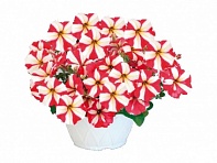 Петуния ампельная гибридная (My Joy F1)